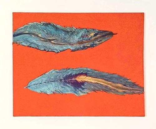 Feathers in the sand