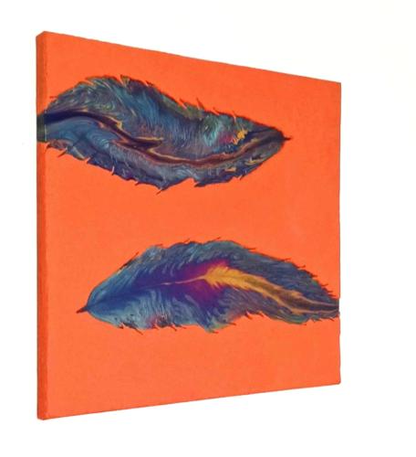 Feathers in the sand