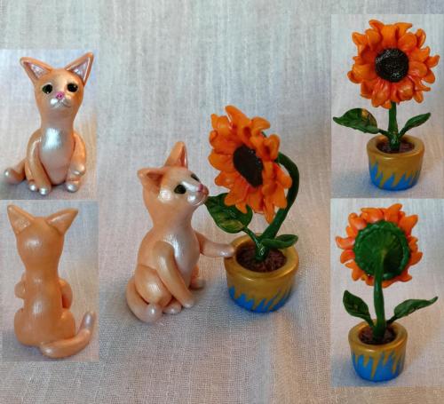 Cat Rudi with Sunflower